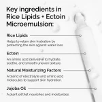 Rice Lipids + Ectoin Microemulsion - Image 3